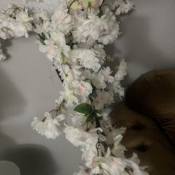 Indoor artificial Plant