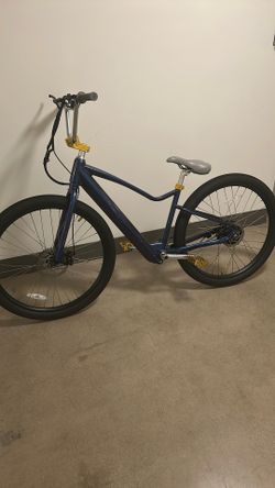 Hurley Electric Liquid Series Cruiser 