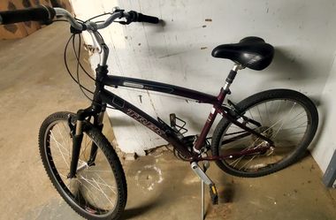 Bike TREK NAVIGATOR 2.0