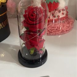 Mother’s Day glow-in-the-dark rose gift