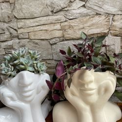 🌵Echeveria Succulents In Ceramic Pot 6"H. 🪴House Plant Fuzzy Baby Bunny Bellies Tradescantia In  6"H Head Planter Pots. Each. 