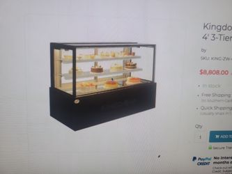 Kingdom Display Fridge Used