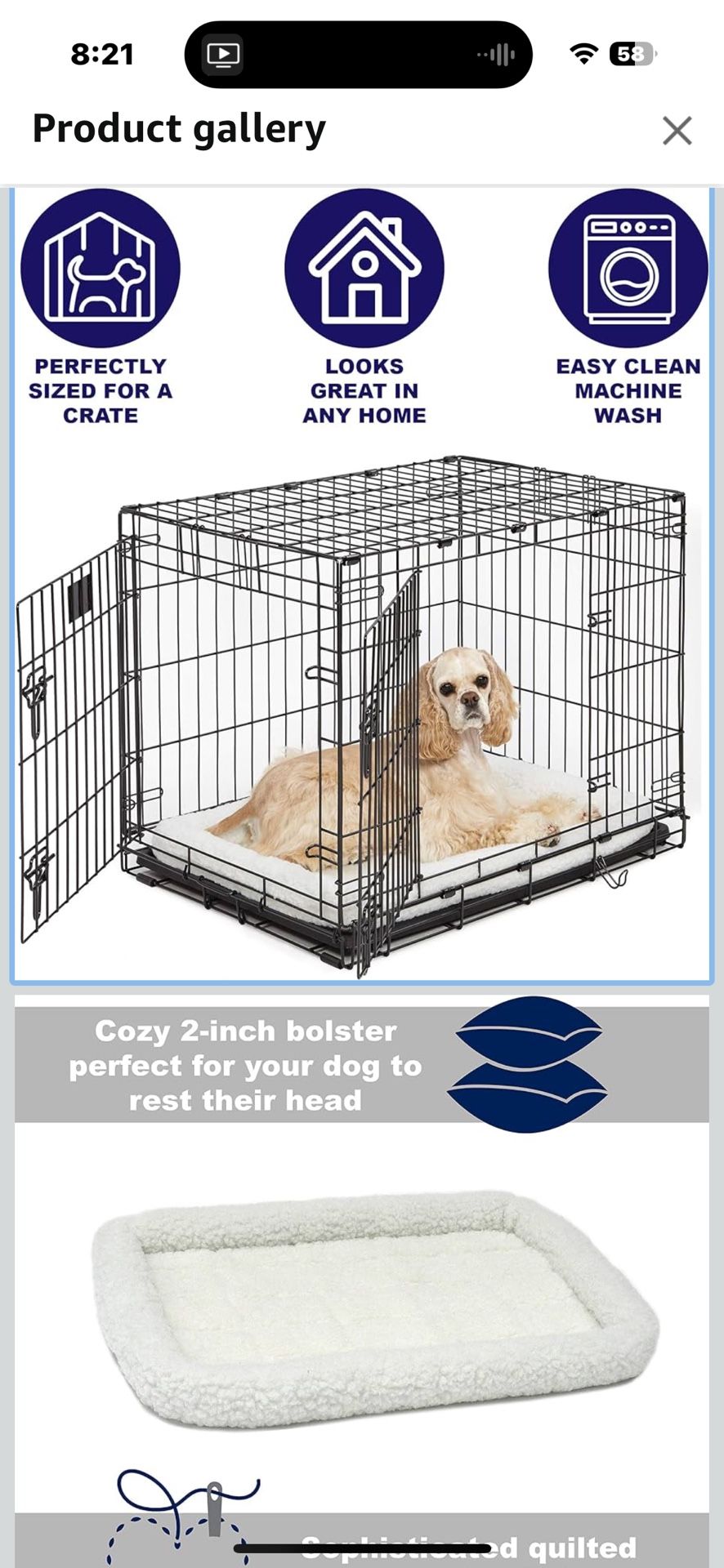 Medium dog crate with white cushion bedding