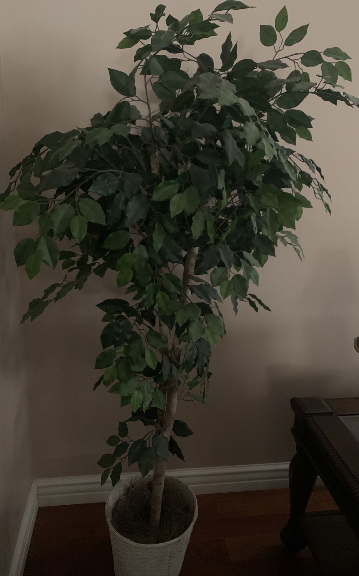 Artificial Plant 6 Feet Tall. Perfect Condition .