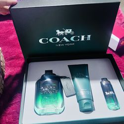 Coach Green Set New 