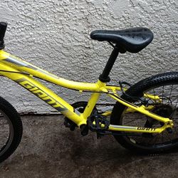 Giant XTC Jr Mountain Bike