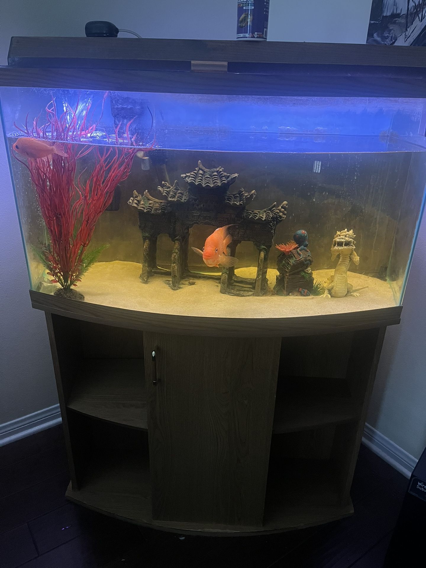 Aquarium Set