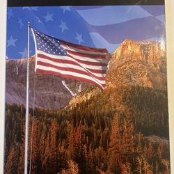 State Quarter Set, Complete 56pc