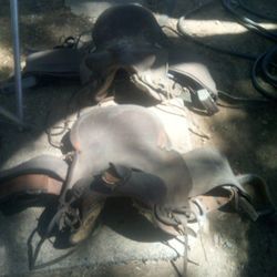 Horse Saddles