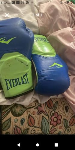 Everlast boxing gloves