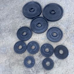 Wieder Olympic Weight Plates