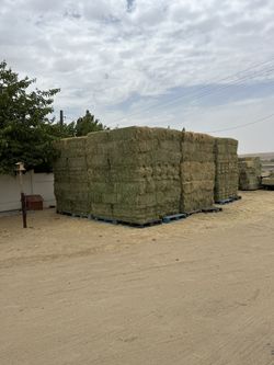 Hay/alfalfa