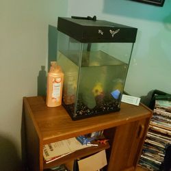 Fish Tank Decors And Rocks Included