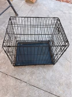 dog 🐕 cage