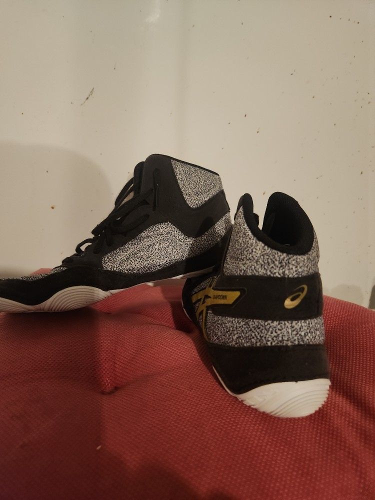 Wrestling Shoes