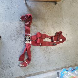 4 Point Harness