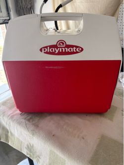 Igloo Playmate 30qt