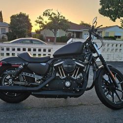 2019 Harley Davidson Iron Sportster 883