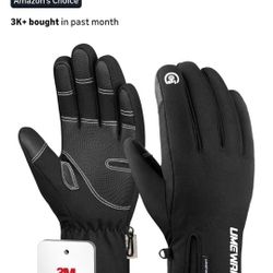 -10℉ Waterproof Winter Gloves Men, Touchscreen Fingers Snow Ski Gloves Women, 5-Layer Touch Screen Cold Weather Gloves