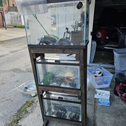 three-tier custom fish breeding setup