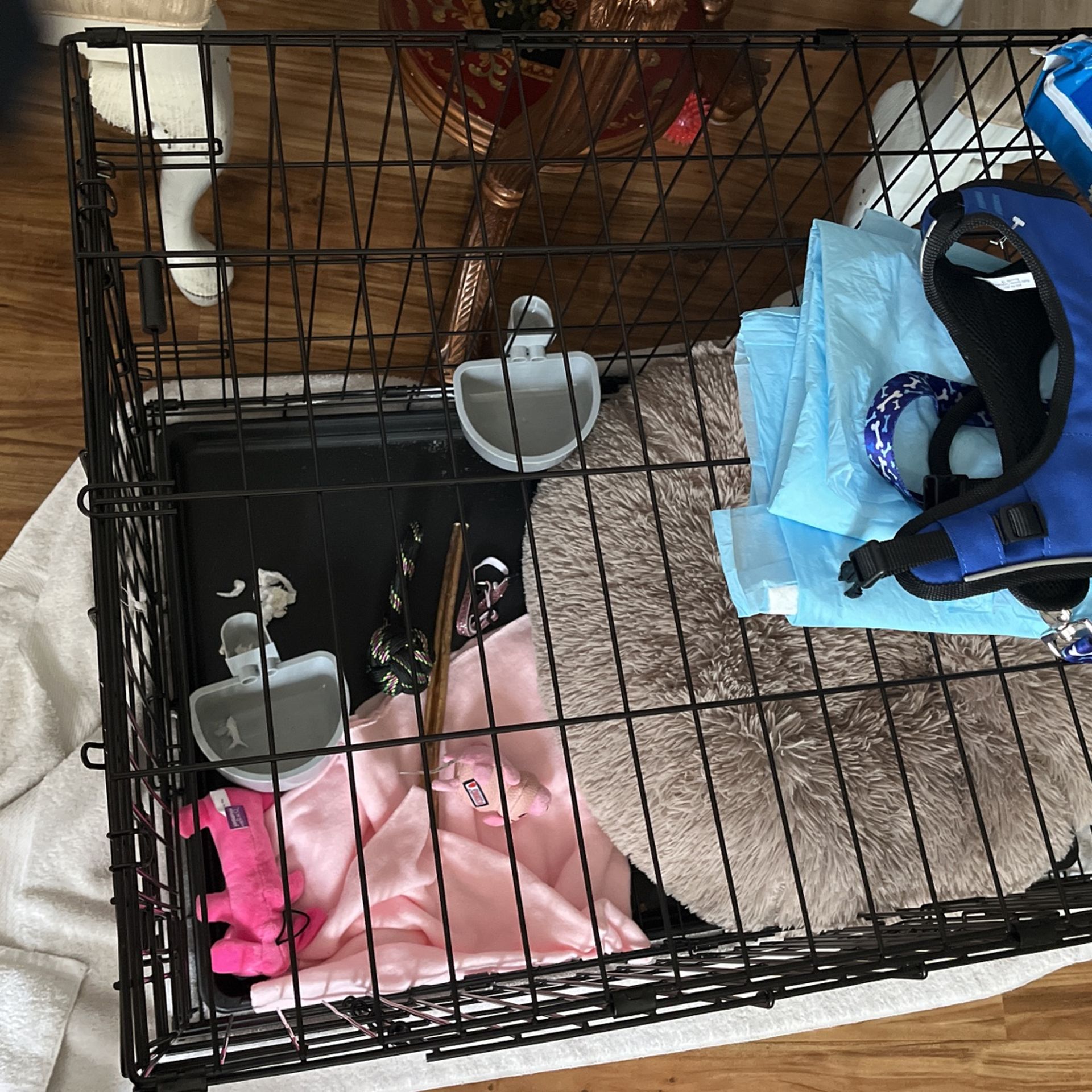 Dog Crate