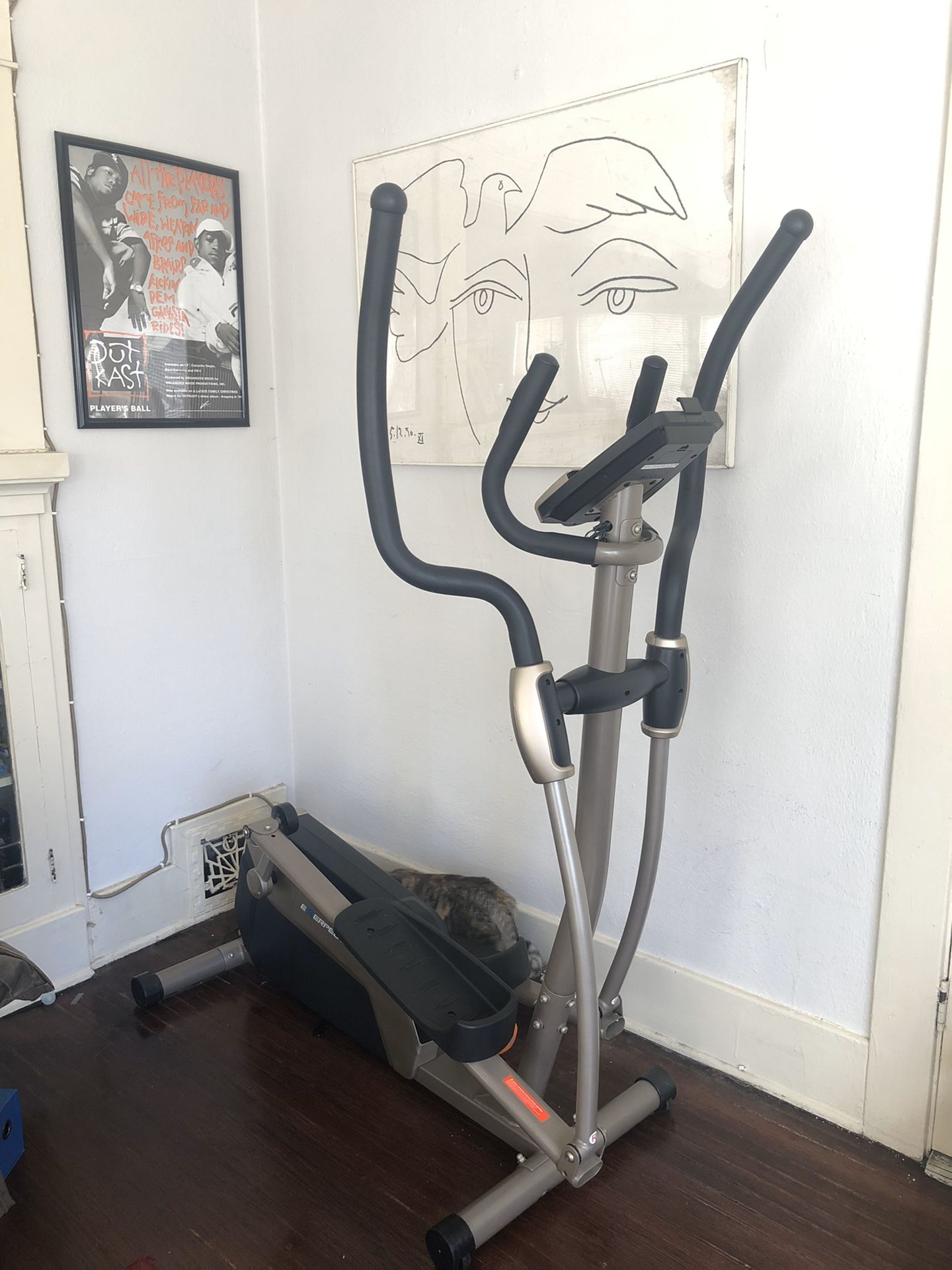 Exerpeutic Exercise Elliptical (Pickup Only)