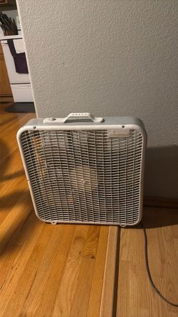 Fan
