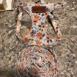 Xtra Small Dig Harness And Leash Set