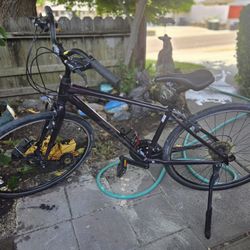 Giant Escape Disc 2 Bike