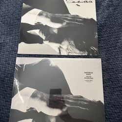 Andrew Bird, Inside Problems Vinyl, with SIGNED Print