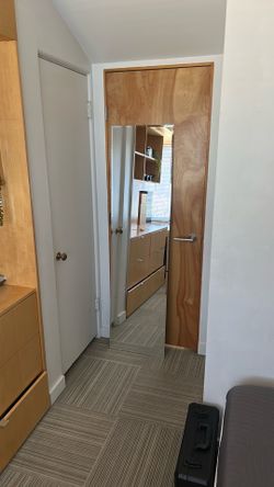 Full Body Mirror (68x18)
