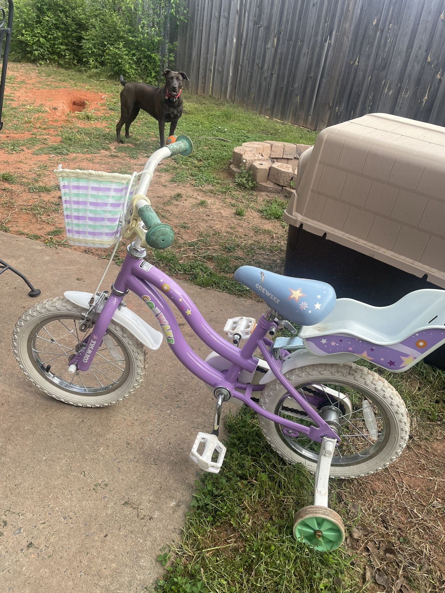 Kids Bike With Basket And Baby Seat