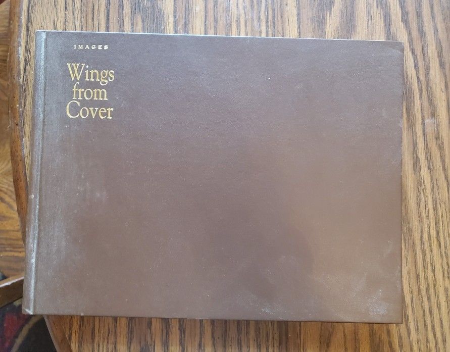 Wings Under Cover