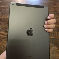 Ipad 9 with cellular 256gb