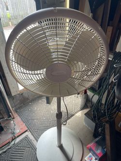 Fan