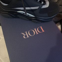 Dior B22-size 43