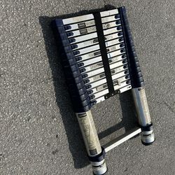 15 Foot Extendable Ladder