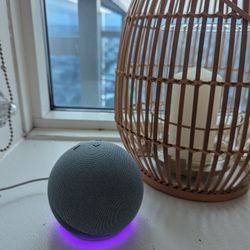 Amazon Echo Dot 4th Gen 