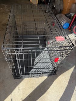 Kong Large Dog Crate