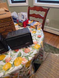 Bose Environmental Speakers for sale