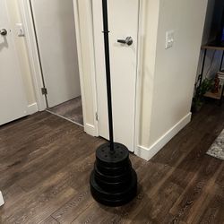 100lbs  Weighs $75