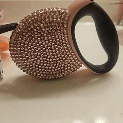 Little Dog Starter Pack For girl Dog 