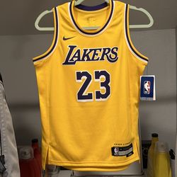 Nike Lakers Swingman Lakers LeBron James Youth Jersey Medium
