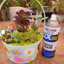 Cute Spring Basket W/Fairy Beautiful Succulents🌵🎁