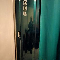 1994 F150 Foprd forest green tailgate