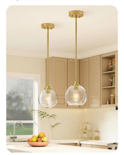 Pendant Light Fixtures 2 Pack