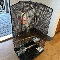Bird Cage