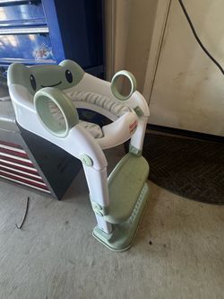 Baby potty training seat