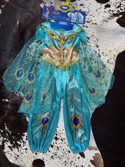 NWT- Disney Princess Jasmine Aladdin Kids Costume