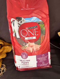 Purina ONE +Plus Healthy Puppy Formula Dog Food